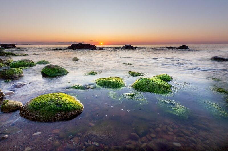 балтика нарвский залив вечер закат август море камни Вечер на Балтике фото превью