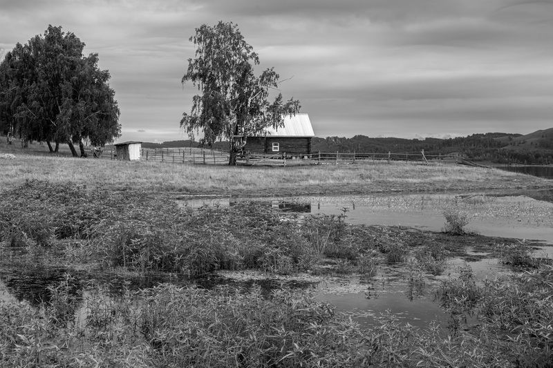 *******photo preview