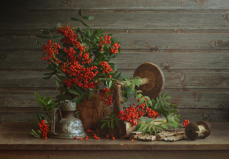 Напряла осень куст рябиновый...photo preview