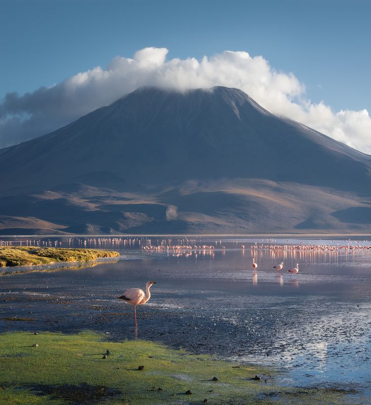 Боливияphoto preview