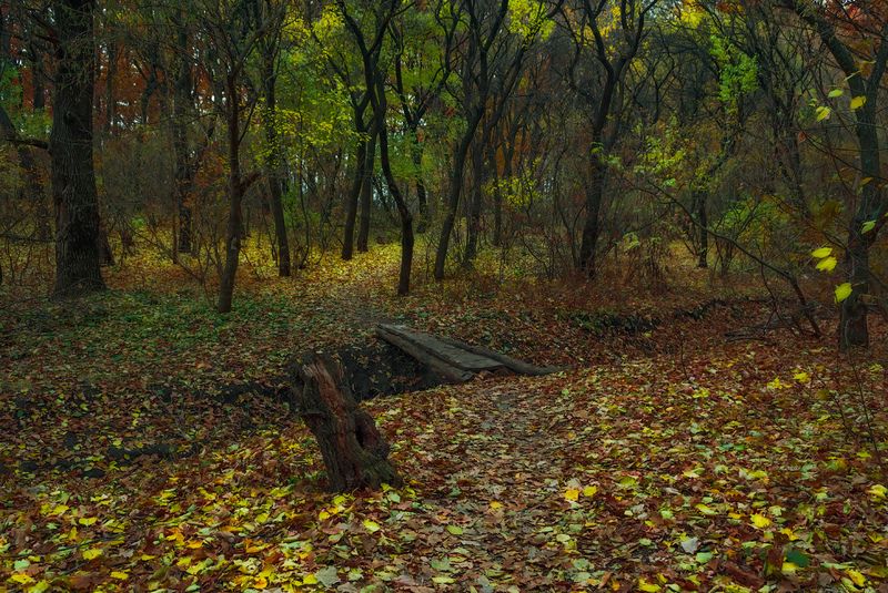 Осенними тропами...photo preview