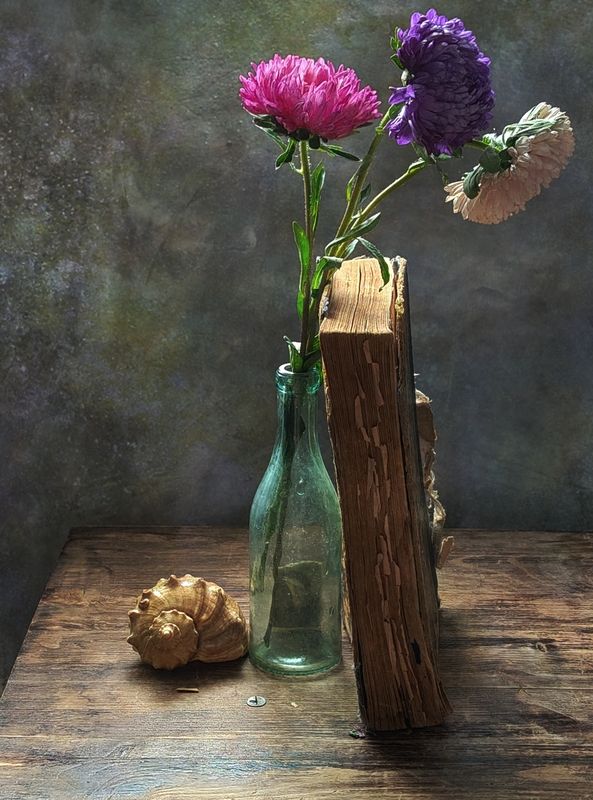 астра, цветы, книга Астрыphoto preview