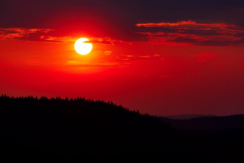 закат, Ладога, лес, север Северный закат фото превью