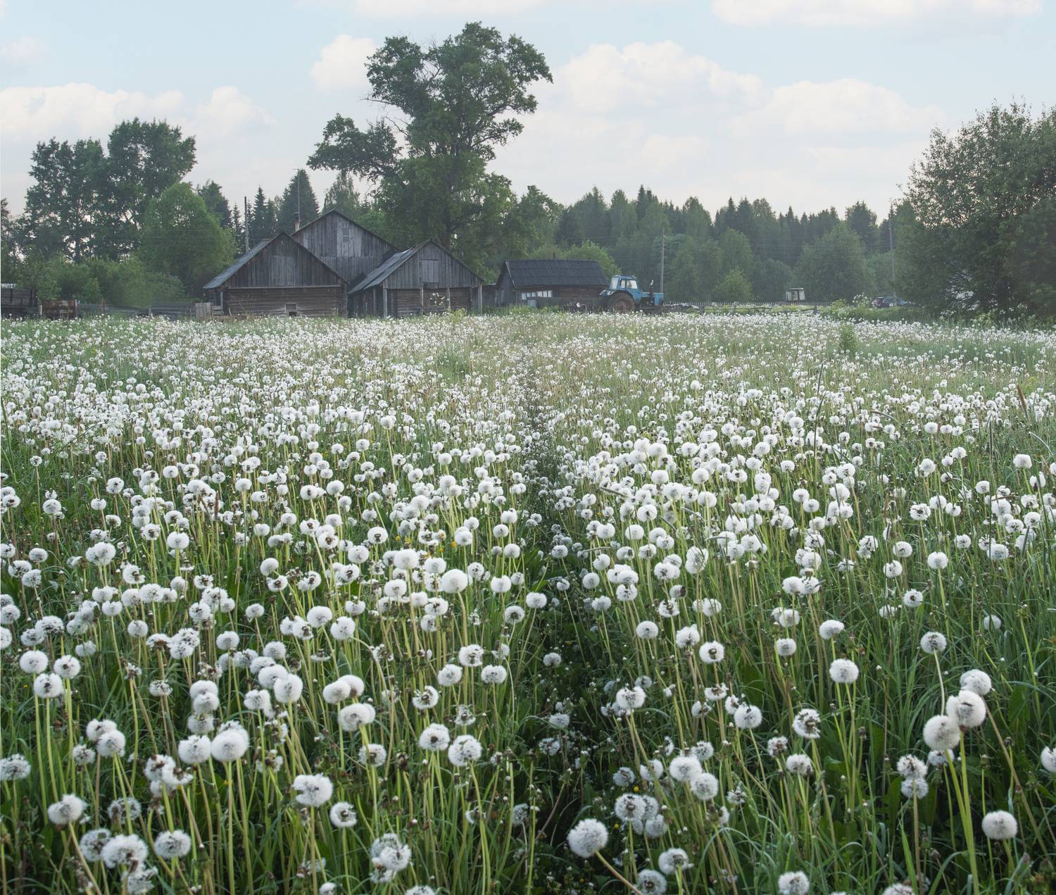 , Карепанов Евгений