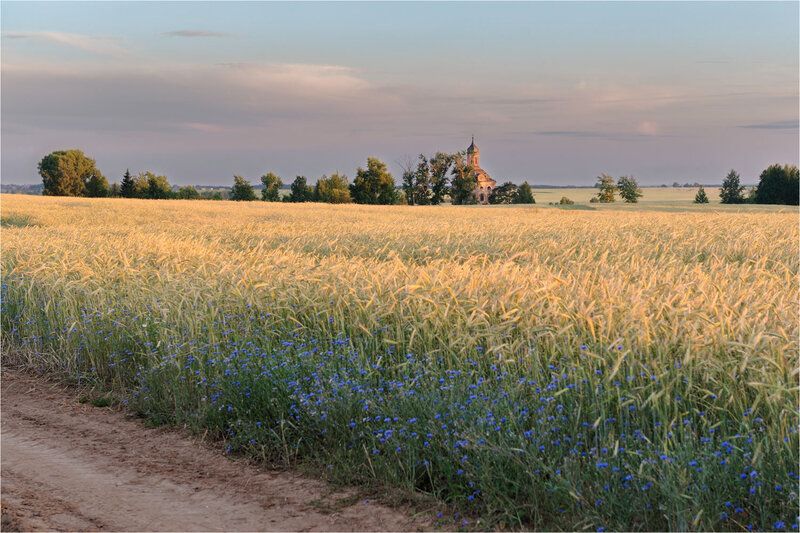 Вечернее полеphoto preview