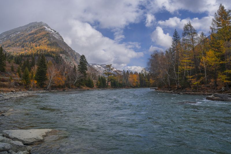 россия, горный алтай, река чуя, осень Чуя фото превью
