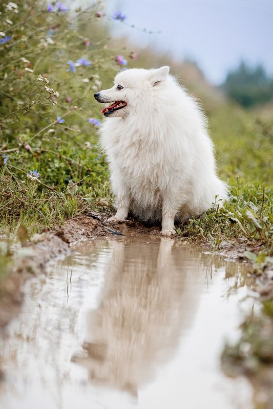 Облачкоphoto preview