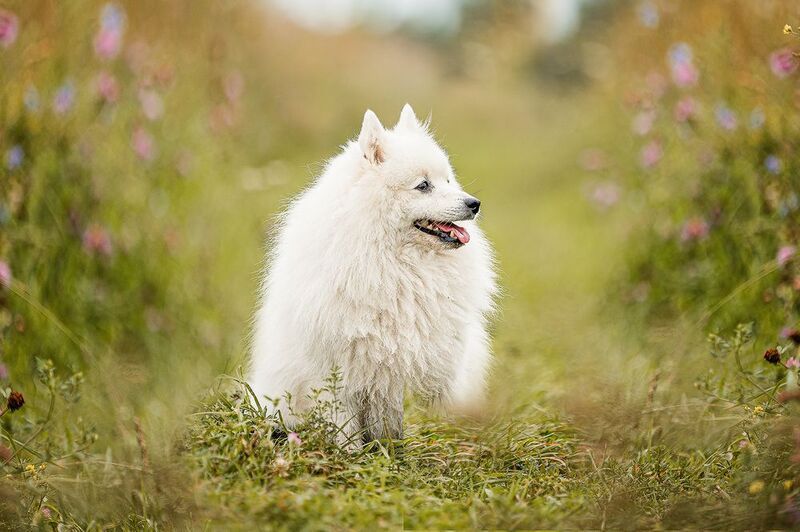 Облачкоphoto preview