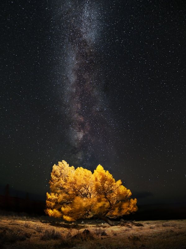 Порывы. Алтай 2024.photo preview