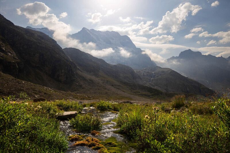 Горный родникphoto preview