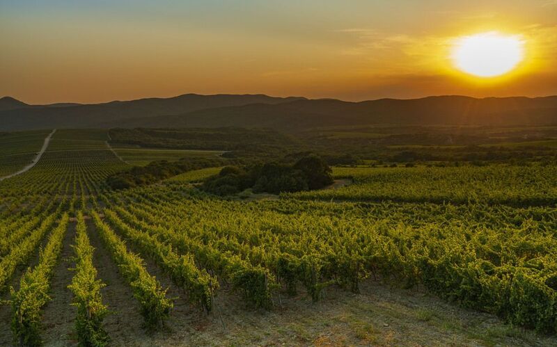 горы, пейзаж, виноградники, закат Виноградники Абрауphoto preview