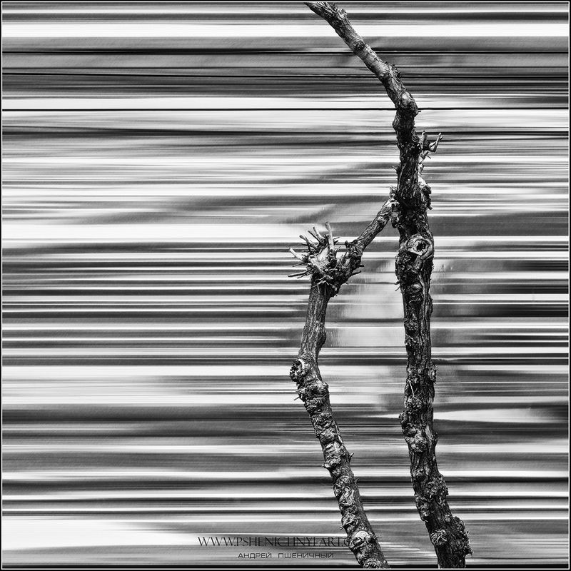 силуэт, город, дерево, сталь, концепт, монохром, минимализм Силуэты жизниphoto preview