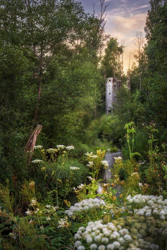 Парк Бродскогоphoto preview