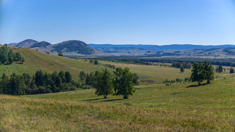 Под небом голубымphoto preview