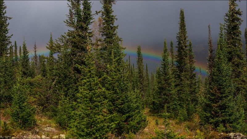 ергаки ** *photo preview