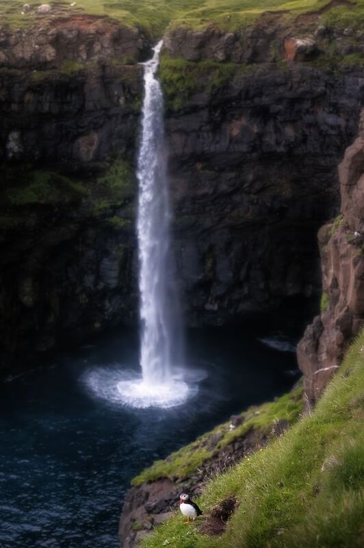 Puffin\\\'s waterfallphoto preview