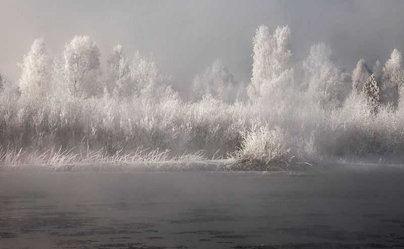 Морозным днёмphoto preview