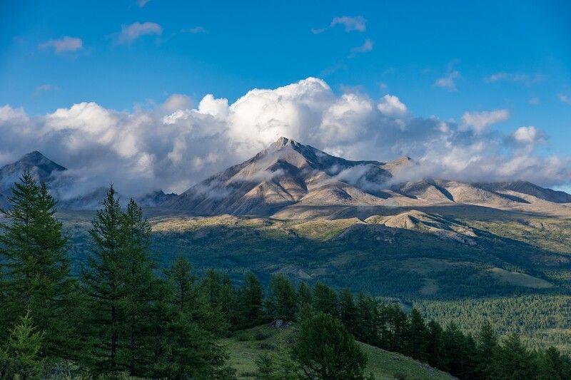 монголия, горы, лето, вечер, закат, мунку-сардык, зелень В вечерних грезахphoto preview