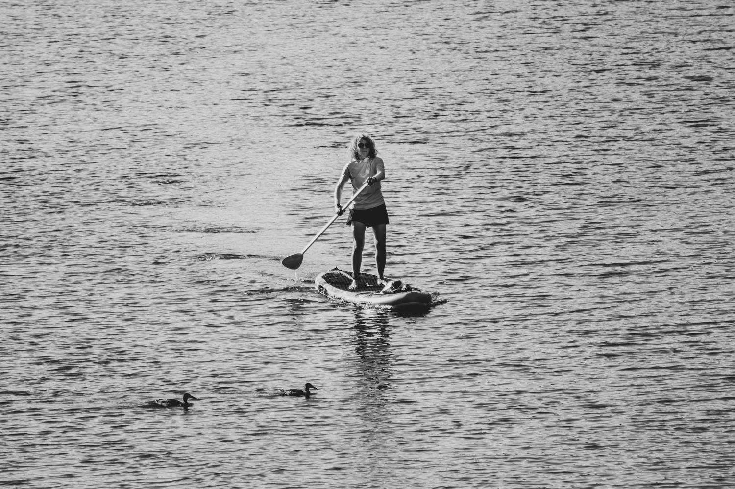 P397. Автор: Клюков Виталий , Клюков Виталий