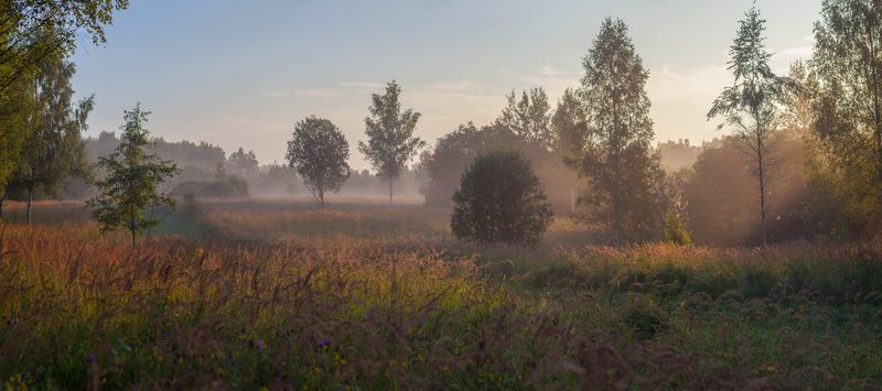 лето, поле , рассвет photo preview