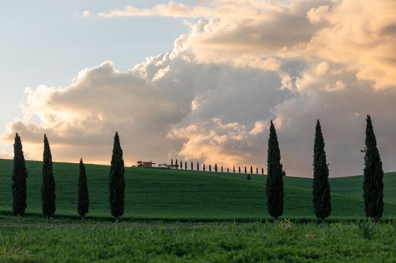 Toskanaphoto preview