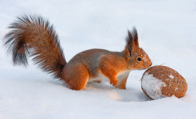 jackpotphoto preview