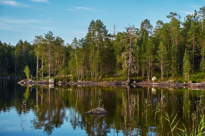 карелия, озеро кереть Вечер у озераphoto preview