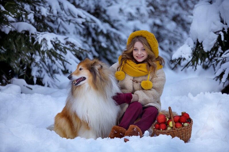 Девочка, зима, собака, Новый год, санки, зимний лес, игрушки Зимнее настроение фото превью