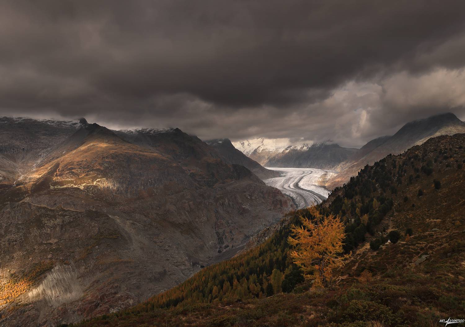 swiss, Матвеев Николай