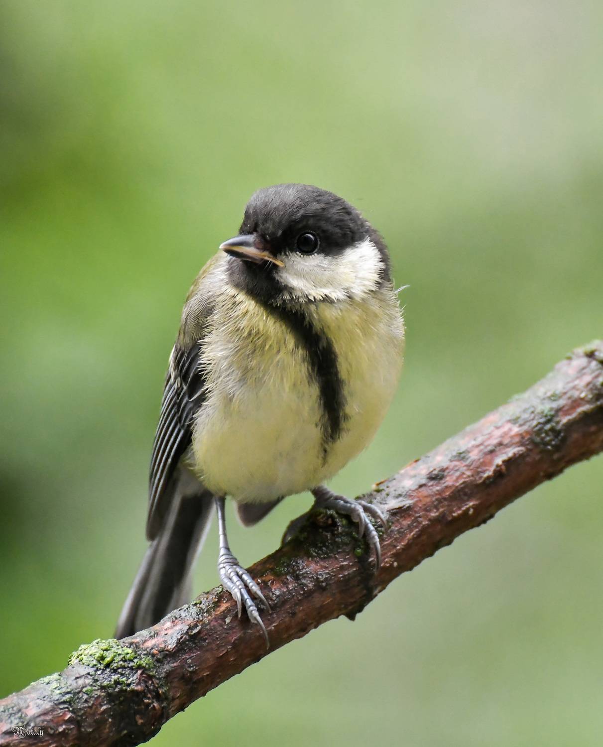 , Наталья Екимова