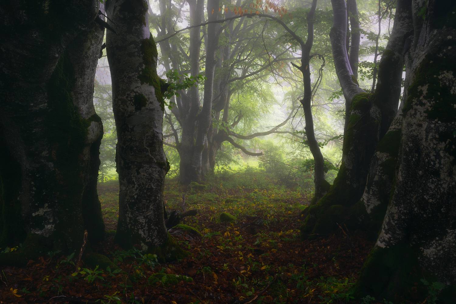 Pressure. Автор: Szabo Zsolt Andras , Szabo Zsolt Andras