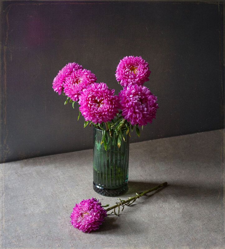 Астрыphoto preview