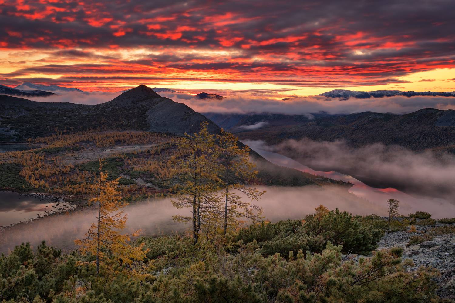 озеро джека лондона, Евдокимов Максим