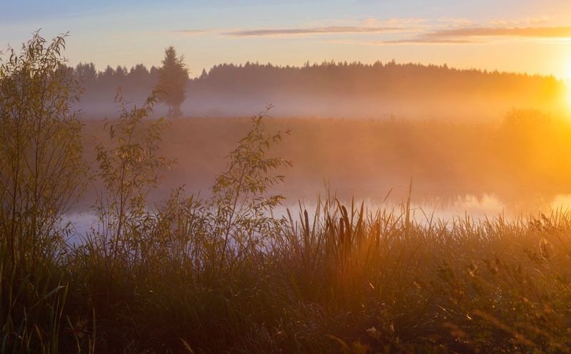 рассвет, туман photo preview