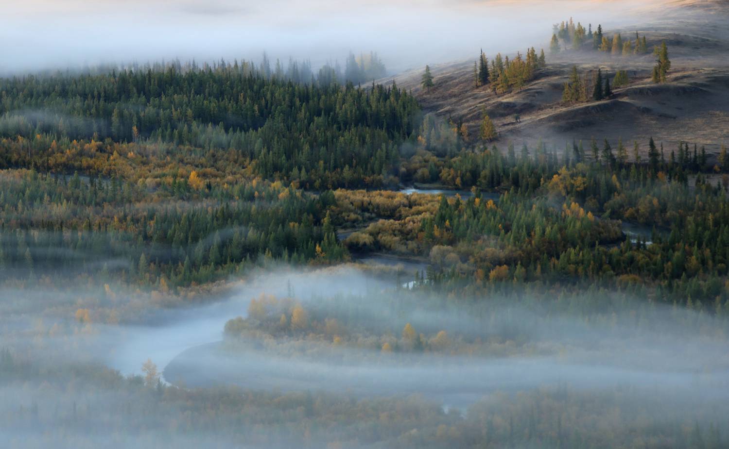 алтай, чуя, горный алтай, курай, Галина Хвостенко