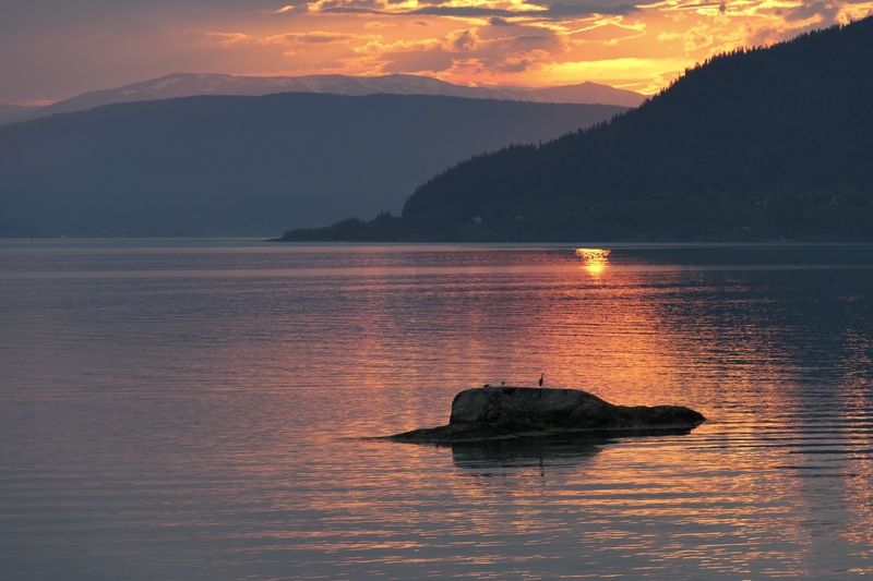 Landscapes, Norway, Sunrise, Birds, Colorful, Mountains, Fjords,  Трио на рассветеphoto preview