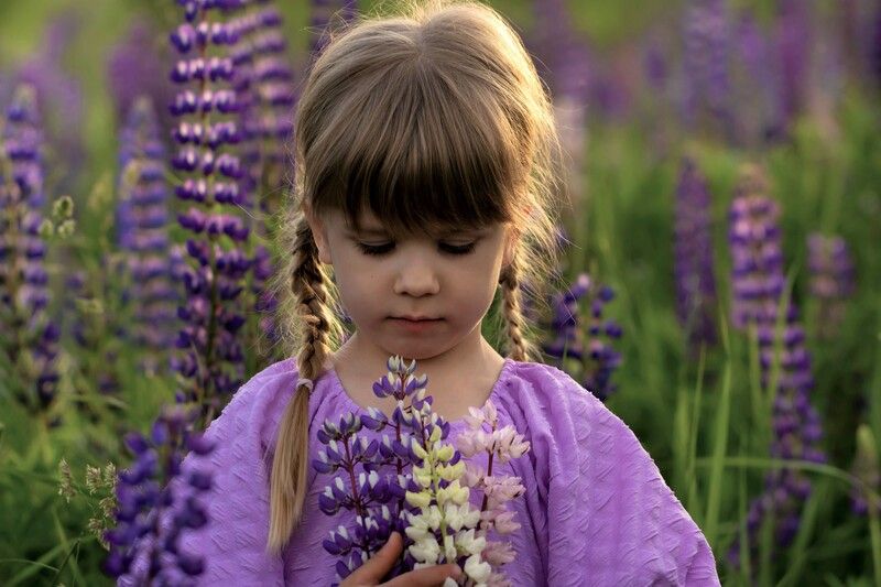 Девочка, портрет, лето, цветы, люпины Лето  фото превью