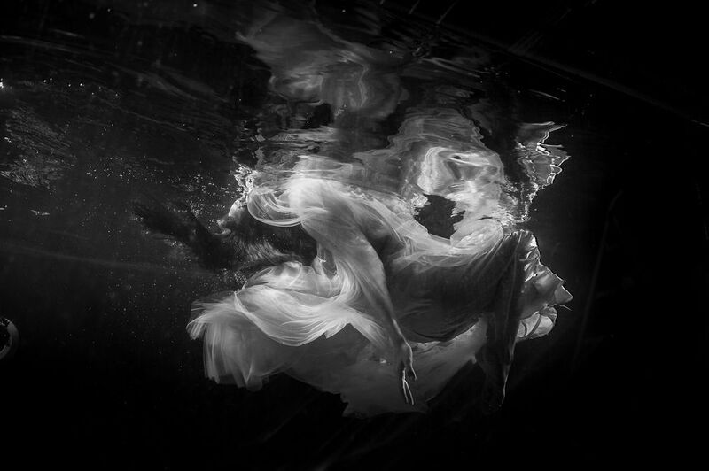 35mm, 4x5, 6x6, 6х6, 85mm, Art, Artnude, Ballerina, Ballet, Battur, Beautiful, Beauty, Canon, Canon 5D Mark III, Car, Color, Dance, Dress, Emotion, Eyes, Face, Flowers, Ganzo, Genre, GirlHair, Hero,LightLilac, Model, Mongol, Mongolia  фото превью