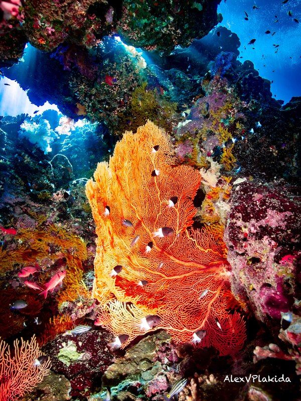 Ярко!photo preview