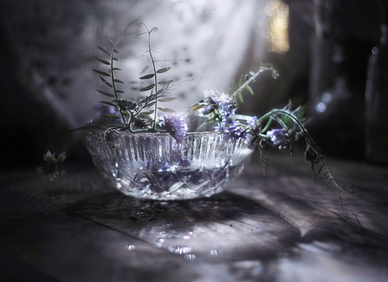 натюрморт, лето, цветы, свет, ночь Летней ночи лунное мерцание photo preview