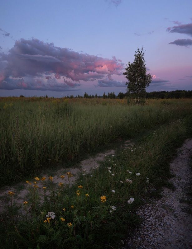 пейзаж, свет, вечер, природа, ***photo preview