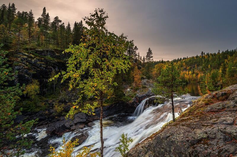 север, кольский, заполярье, маманя photo preview