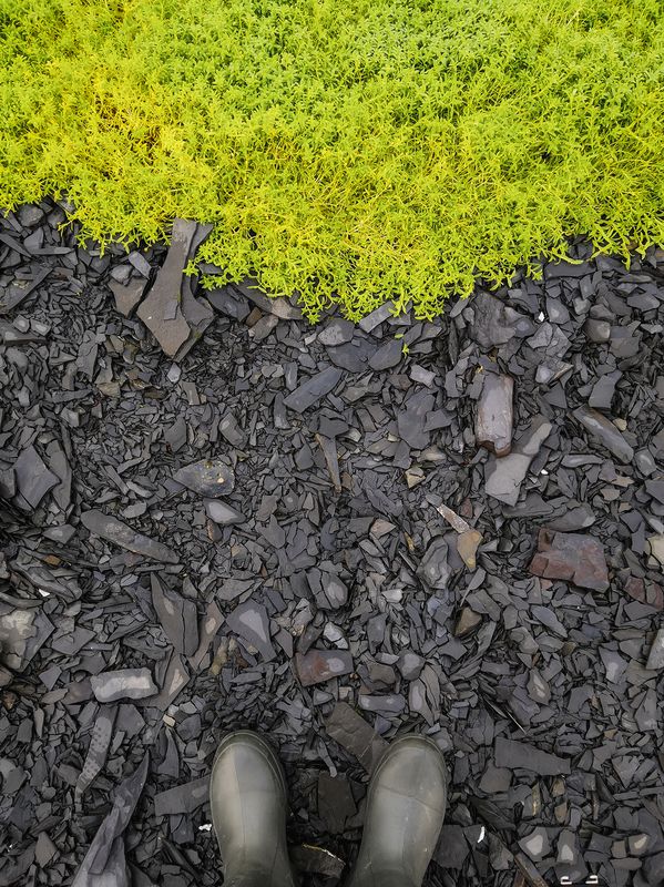 рыбачий, фототур, яковлевфототур, кольский, арктика Текстуры под ногамиphoto preview