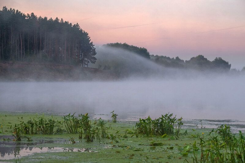 лето река туман природа пейзаж рассвет Волна тумана.photo preview
