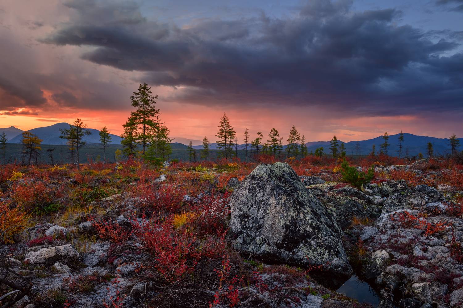 озеро джека лондона, Евдокимов Максим