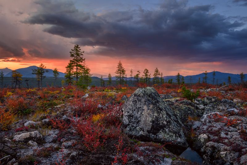 озеро джека лондона Персиковые дожди Колымы...photo preview