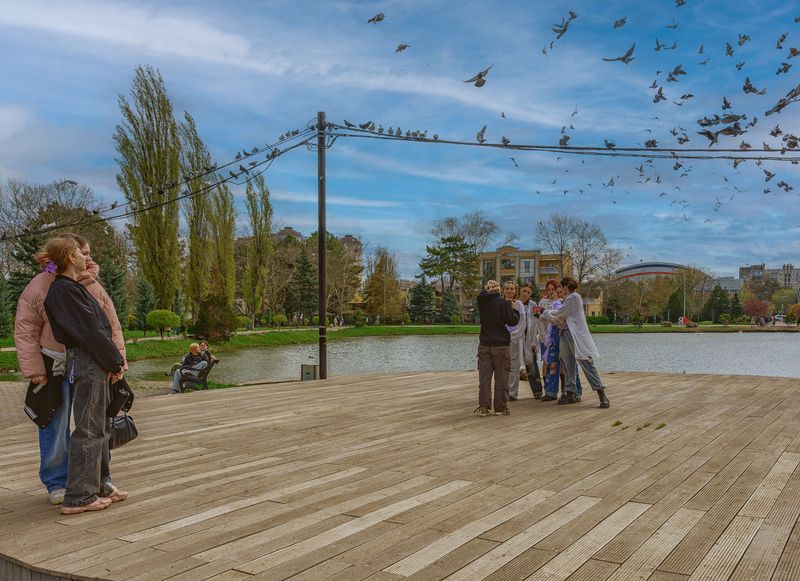 Голубь птица мираphoto preview