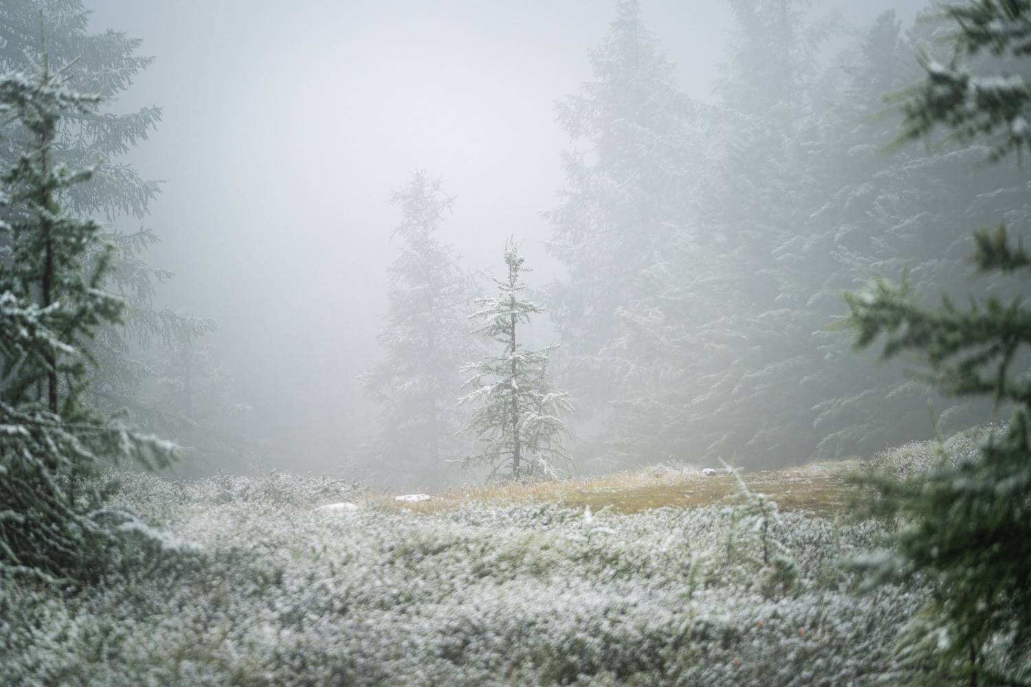 , Евгений Важенин