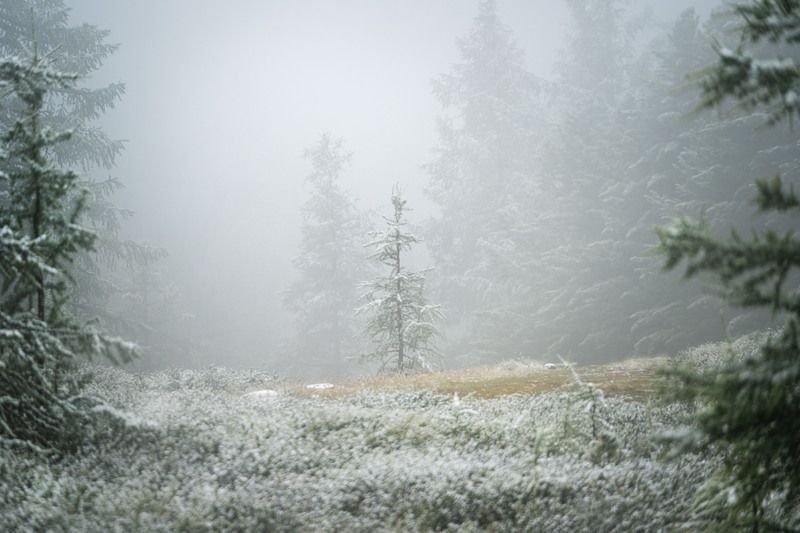 Июльский снег…  July snow...photo preview