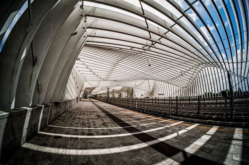 Shadows in Motionphoto preview